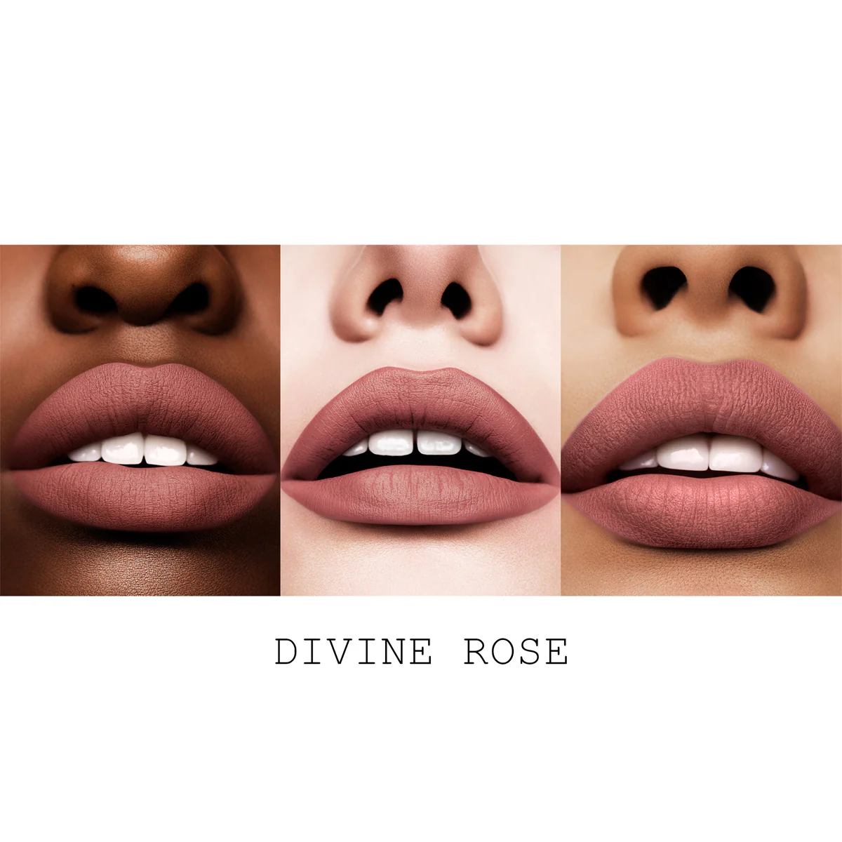 Divine Rose Everything Kit - Image 6