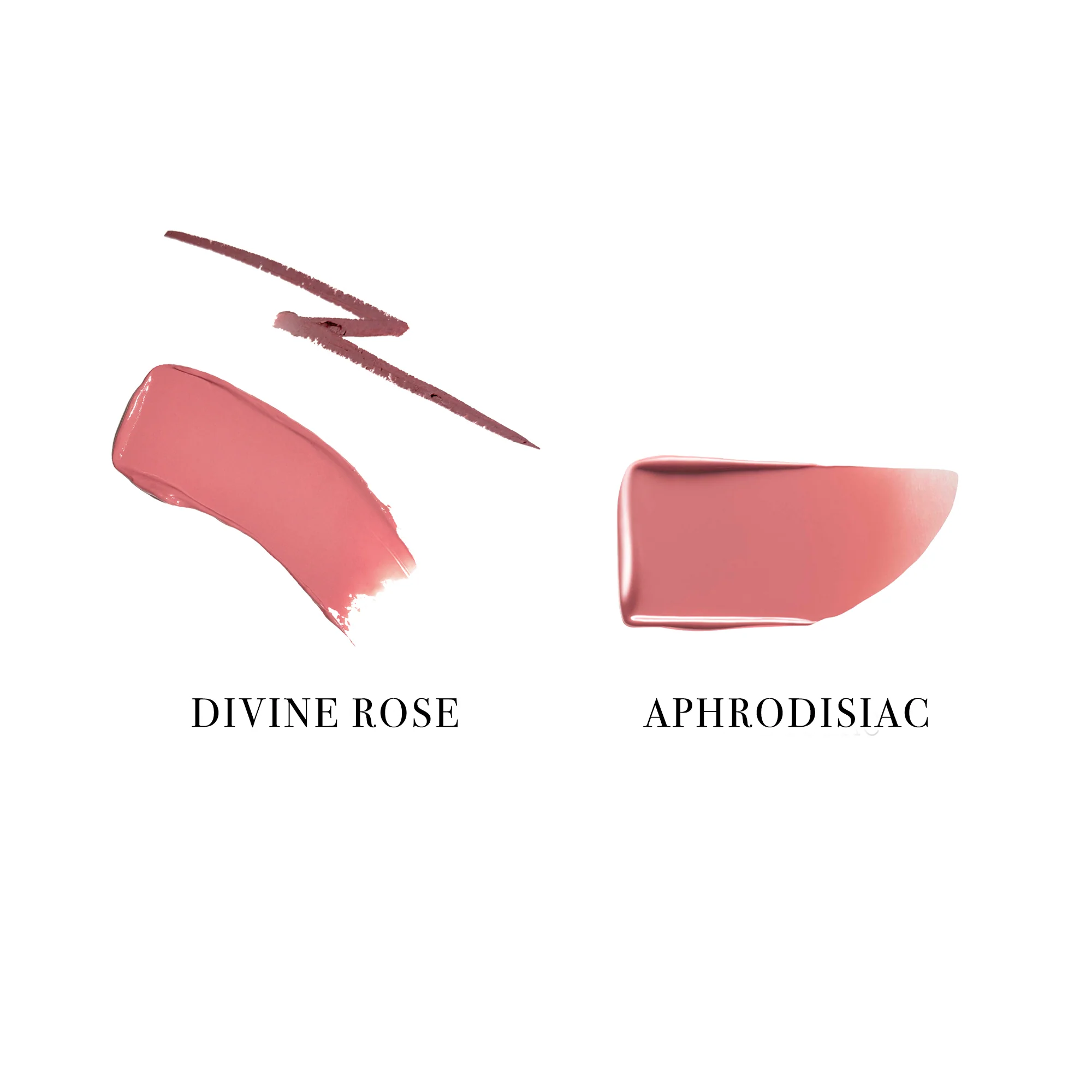 The Sculpt + Gloss Kit - Image 10